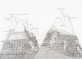 Chart of the Vertical Distribution of Plants in Europe and America 1, 2016, fusain sur papier, 55 x 75 cm.