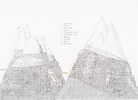 Chart of the Vertical Distribution of Plants in Europe and America 2, 2016, fusain et filmoplast sur papier, 55 x 75 cm.