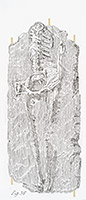 Human Skeleton from Guadaloupe, 2016, fusain et filmoplast sur papier, 75 x 33 cm.
