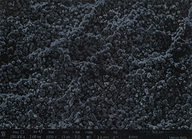 Nanostructures sur un textile en coton – élément # 2, 2018, gesso noir et pastel sur contre-plaqué, 89 x 122 cm.