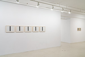 Le poids du noir (série), RCES, 2018, vue d’exposition Galerie B-312, Montréal.