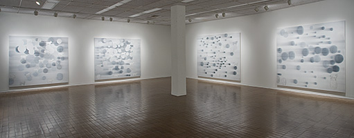 Morulas, 2008, acrylique et fusain sur contre-plaqué, vue d'exposition (Plein Sud, Longueuil).