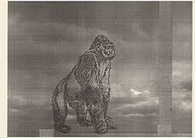 arythmie, 2006, fusain sur xérox sur papier, 21 x 28 cm.